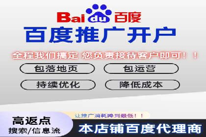 百度竞价广告投放的ROI优化：经典案例分享